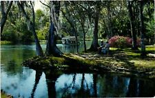 Vintage Postcard- Silver River, Silver Springs, FL 1960s picture