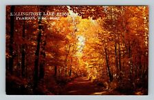 Pearson WI-Wisconsin Rollingstone Lake Resort Birches Autumn Vintage Postcard picture
