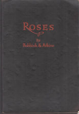 Bobbink & Atkins Roses flower catalog Rutherford NJ 1927 picture