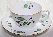 Shelley Cup & Saucer Campanula picture