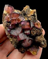 Fluorite Crystals: 10000 Ritter / Knights Mine. Saxony, Germany 🇩🇪 picture