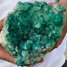 4.38lb Natural Green cubic Fluorite Crystal Cluster mineral sample healing picture