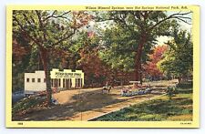 Postcard Wilson Mineral Springs Near Hot Springs National Park Arkansas picture
