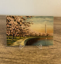 VTG Postcard Washington Monument Japanese Cherry Trees Potomac Basin picture