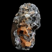 Barite on Chalcedony Natural Mineral Specimen # B 4548 picture