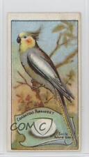 1911 Wills Birds of Australasia Tobacco Capstan Back Cockatoo Parrakeet #67 0l4h picture