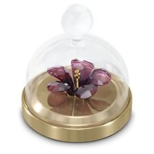 Swarovski Garden Tales Hibiscus Bell Jar Small Purple 5619224 New in Box $175 picture