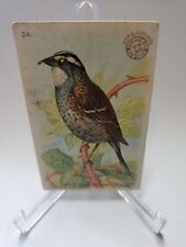 1915 J5 Church & Dwight Useful Birds Of America White Throated Sparrow #24 picture