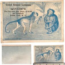 Vintage Ad Trade Card C.B. Quick Quick's Good Sound Lemons Monkey Penn Yan NY picture