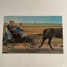 Amish Girls on Buggy Ride Pennsylvania Dutch Country Postcard picture