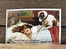 Antique Victorian Trade Card Parker’s Tonic Young Child and a Dog Circa 1880 picture