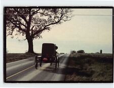 Postcard An Amish buggy makes its way home Amish Seasons Pennsylvania USA picture