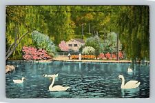 Birmingham AL, Lake & Swans In Avondale Park, Alabama Vintage Postcard picture