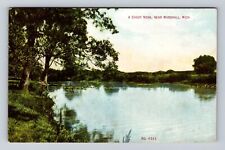 Marshall MI-Michigan, A Shady Nook, Antique, Vintage Souvenir Postcard picture