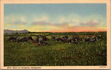 Postcard Manila Philippines Herd Of Carabaos Linen 1940 CURT TEICH picture