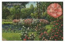 Lakeland FL Postcard Florida Cypress Gardens Camellia Time picture