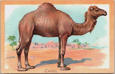 Tuck's Embossed Camel Educational Series #401 Wild Animals Printed in Saxony picture