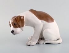Rare Royal Copenhagen porcelain figurine. Labrador puppy. 1920's picture