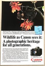 Vintage 1986 Original Print Ad Full Page - Canon Marianas Fruit Bat picture