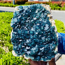 5.22LB Natural green cubic fluorite quartz crystal mineral specimen picture
