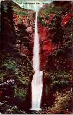 Multnomah Falls OR-Oregon, Scenic View Vintage Souvenir Postcard picture