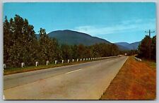 Onteora Trail Catskill Mountains New York Street View Forest Vintage PM Postcard picture