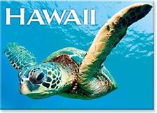 Hawaii Refrigerator Magnet Hello Turtle Honu Ocean By Monica & Michael Sweet picture