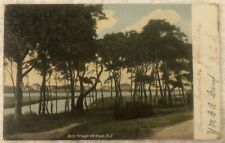 Vintage Post Card, Avon Through the Trees, N.J. posted 1905 picture
