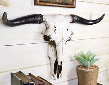 Rustic Western Longhorn Bull Cow Steer Head Skull Wall Decor Plaque 20.5