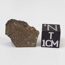 NWA 978 Meteorite | 3.03 Grams | End Cut | Rare R3.8 Rumurutiite picture