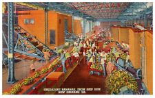 New Orleans LA Workers Unload Bananas Ship 1937 Vintage Linen Postcard-L2-355 picture