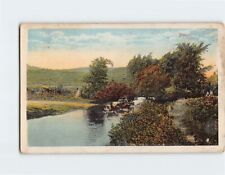 Postcard Pond Trees Landscape Scene picture