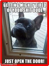 Funny Dog Humor Mad French Bulldog Refrigerator Magnet   picture