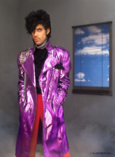 Prince Rogers Nelson Photo Poster 11x16.5 picture