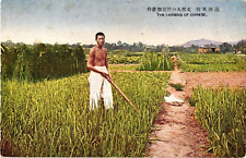 Farming of the Chinese Young Man Farmer China Antique Pre War Postcard Unposted picture