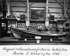 The Great International Fisheries Exhibition 1900S Old Photo picture