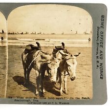 Scarborough England Beach Donkeys Stereoview c1905 North Yorkshire Boats A1983 picture