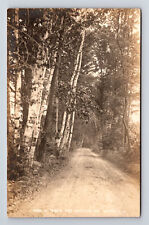 RPPC Road to Dublin Past Shattuck Inn Monadnock Mountain Jaffrey NH Postcard picture