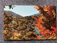 Gorgeous Fall Color Vintage 1965 Postcard picture