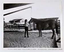 1982 Female Horse Trainer Saddle Up Complex Vintage Press Photo  picture