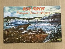 Postcard Arizona AZ Blue Forest Petrified Forest Vintage PC picture