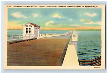 Vintage David Causeway St Petersburg Flordia Postcard P191E picture