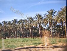 1957 Palm Desert Highway from Car California Red-Border Kodachrome 35mm Slide picture
