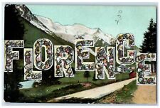 c1910's Florence Woman Name Large Letters Floral Glitter Posted Antique Postcard picture