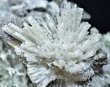 116 Gm Beautiful Rare Scolecite Crystal Spray W/ Apophyllite Crystals On Matrix picture