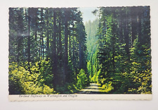 Vintage Postcard Pacific Northwest Fir-lined Highways of Washington and Oregon picture