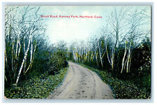 c1910 Birch Road, Kenney Park, Hartford Connecticut CT Unposted Postcard picture