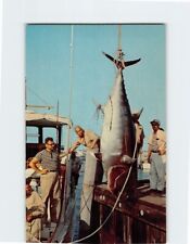 Postcard Giant Tuna Galilee Fishing Village Narragansett Rhode Island USA picture