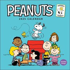 PEANUTS - 2025 WALL CALENDAR - CHARLIE BROWN SNOOPY 887063 picture