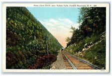 c1940 Stony Clove Notch Haines Falls Train Catskills Mountains New York Postcard picture